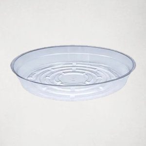 Shallow Saucer Liner